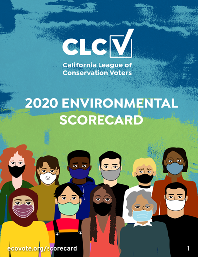 PDF of 2020 Scorecard