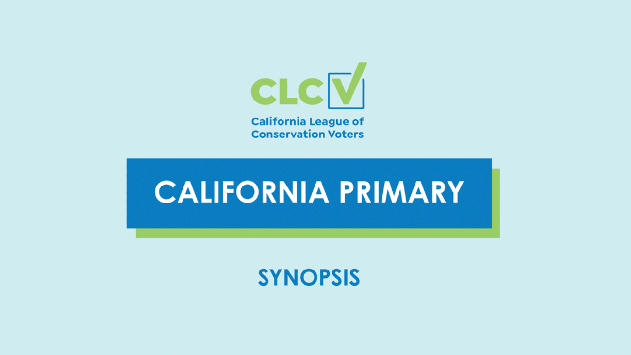 CA_PRIMARY_SYNOPSIS