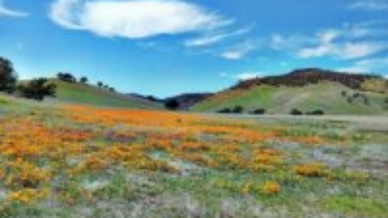 SNOWMOUNTAIN_DailyDemocrat