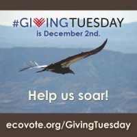 #GivingTuesday