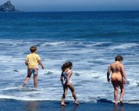 Protecting our Oceans