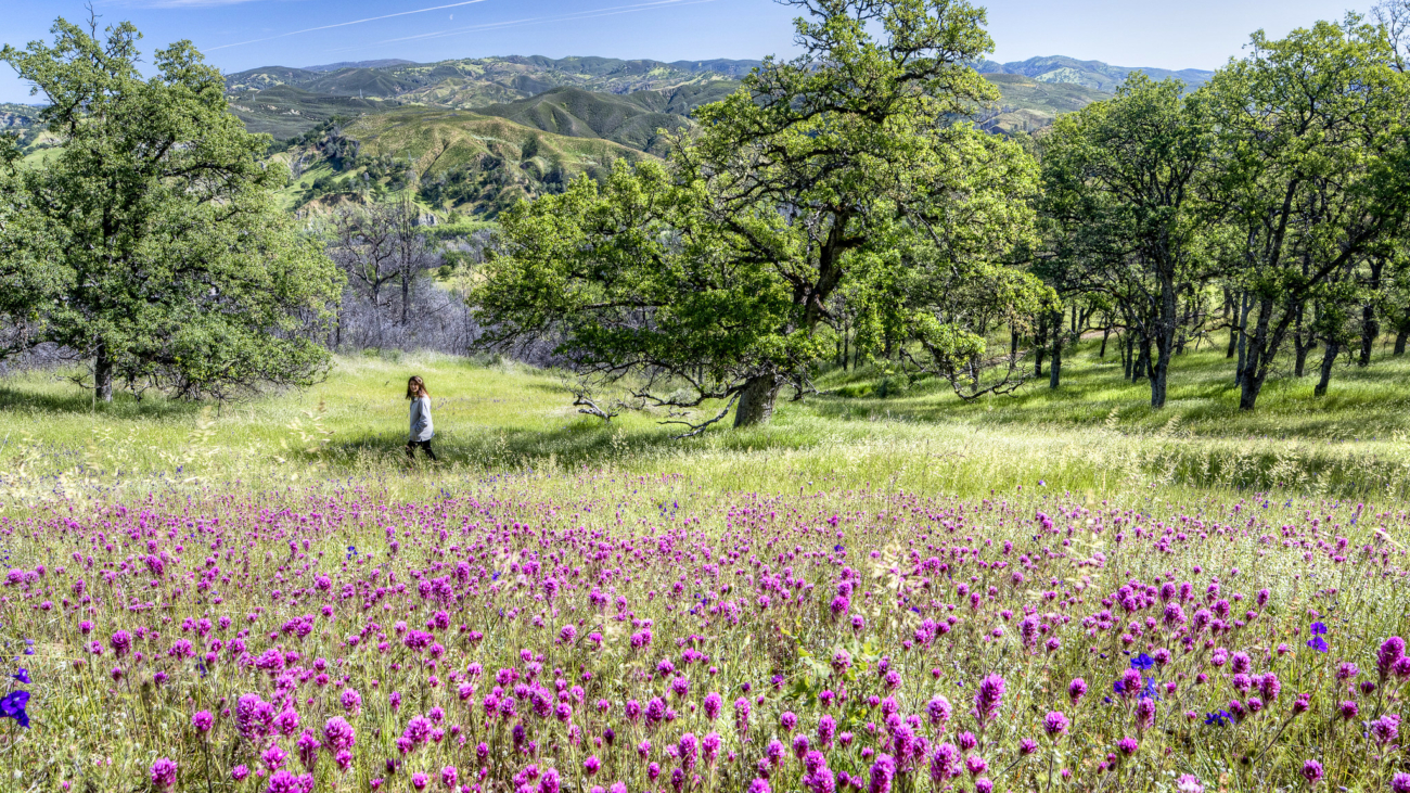 Berryessa Snow Mountain National Monument