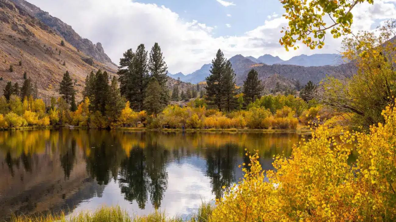 a photo of a lake surrounded by trees and mountains