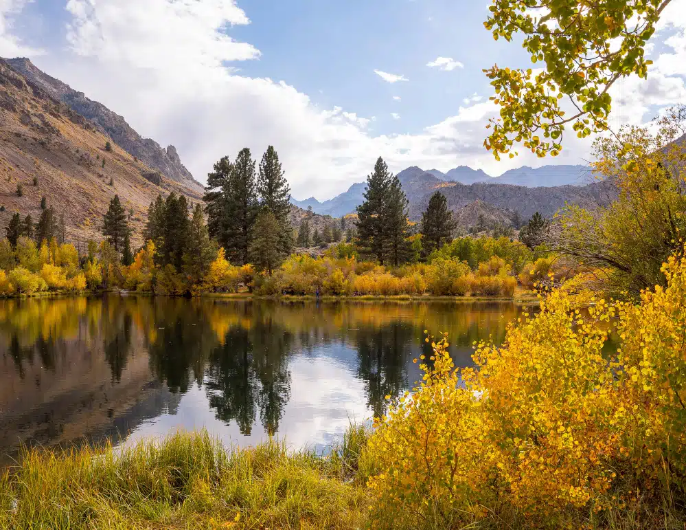 a photo of a lake surrounded by trees and mountains
